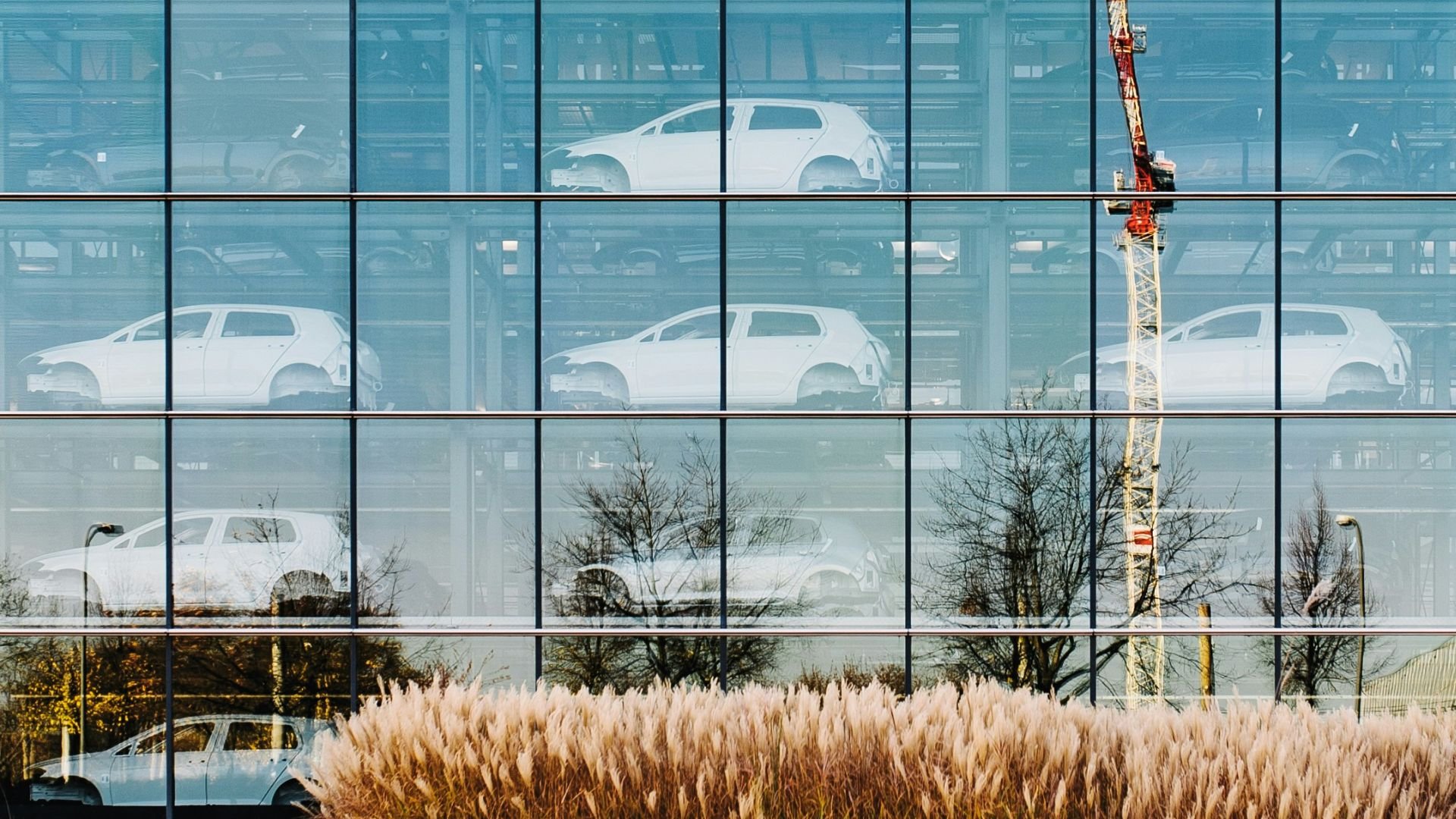 cars through a showroom window