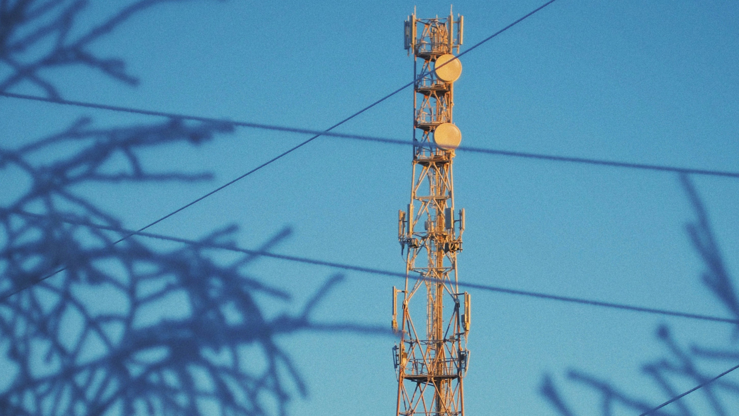 telecoms_satellite_tower_with_trees