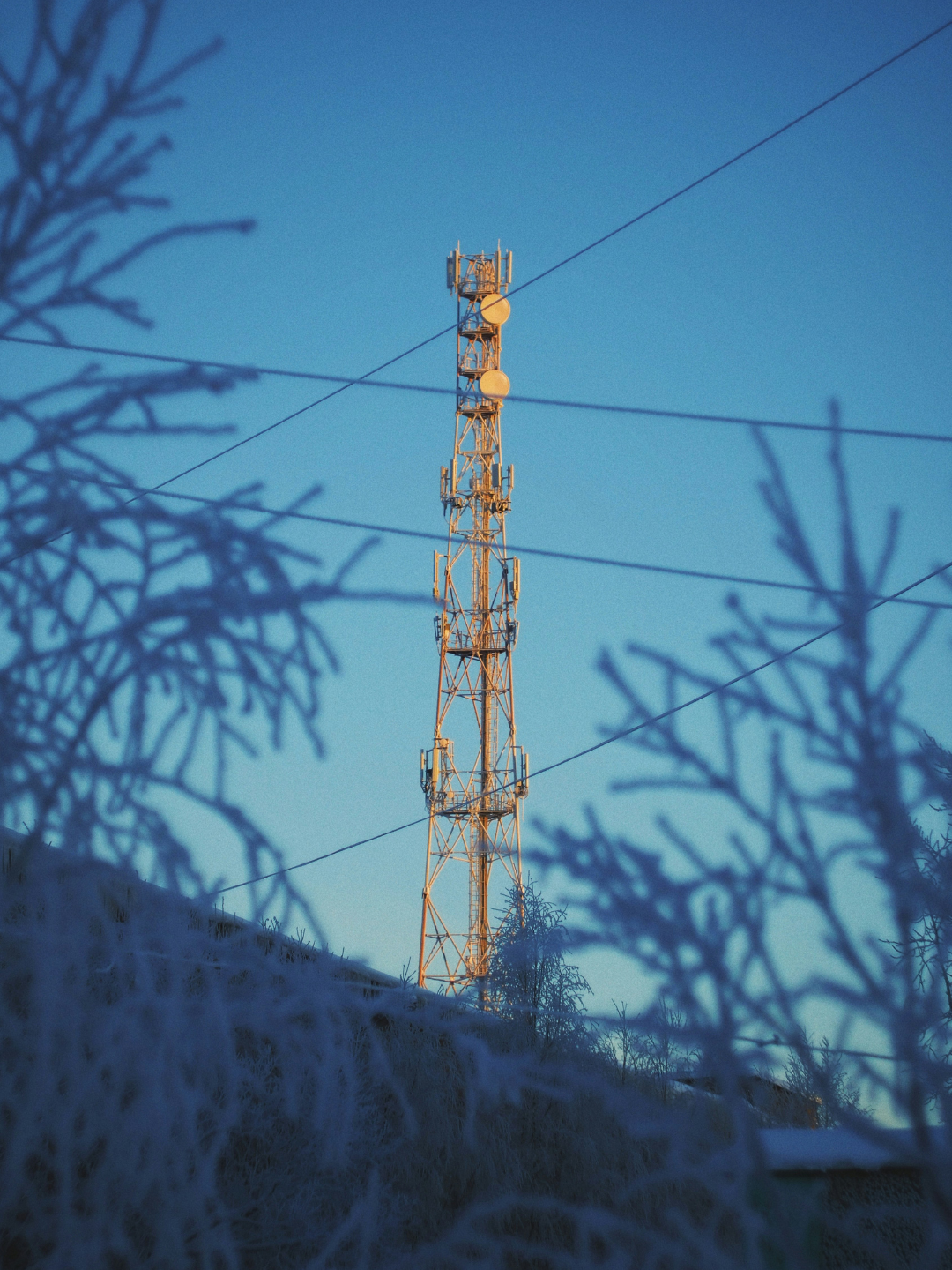 telecoms_satellite_tower_with_trees