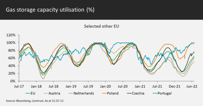 Gas storage - other selected EU