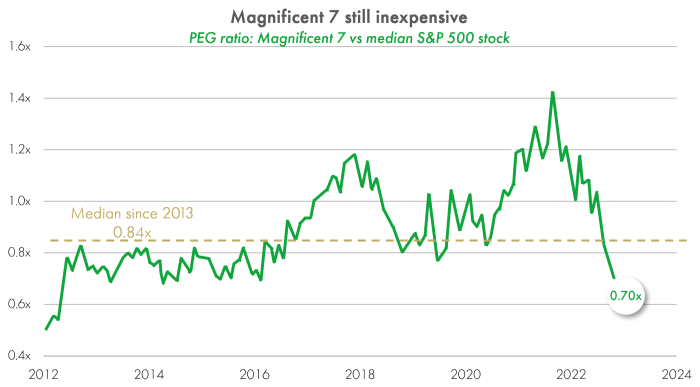 Magnificent 7 still expensive