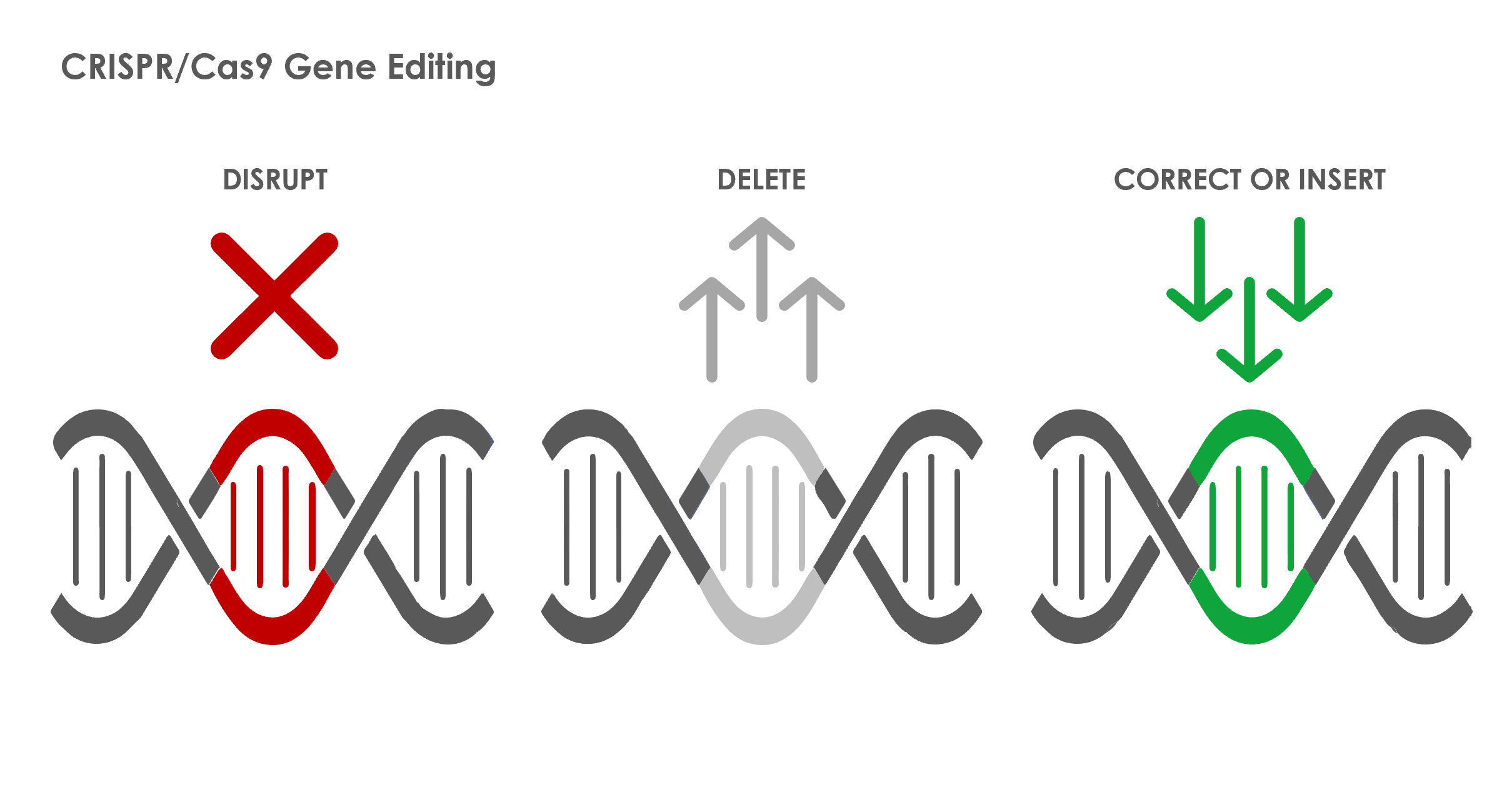 CRISPR Cas9 Gene editing chart