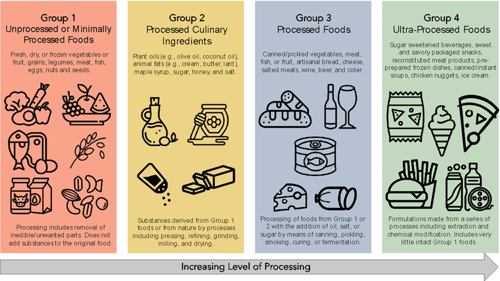 diagram of the level of food processing