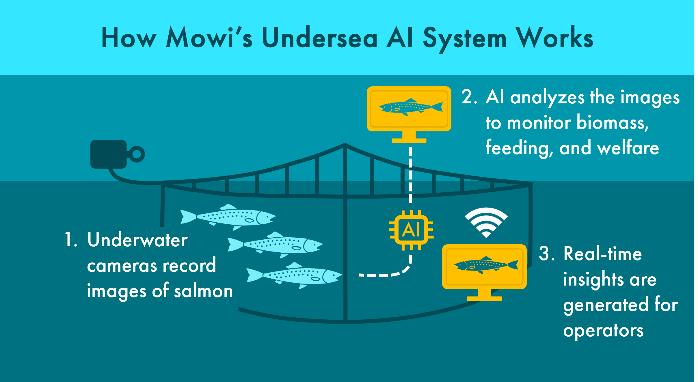 Mowi AI System graphic