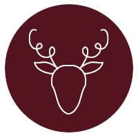 icon_fragt