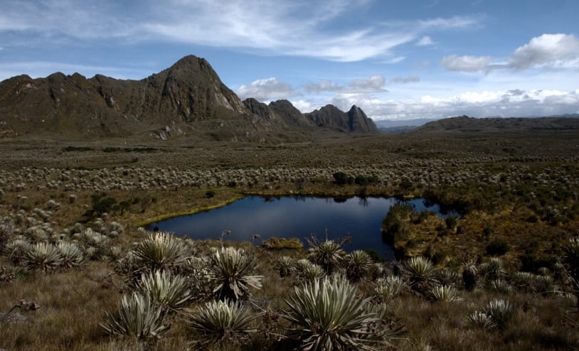 Scopri il nostro progetto per assicurare acqua potabile in Colombia