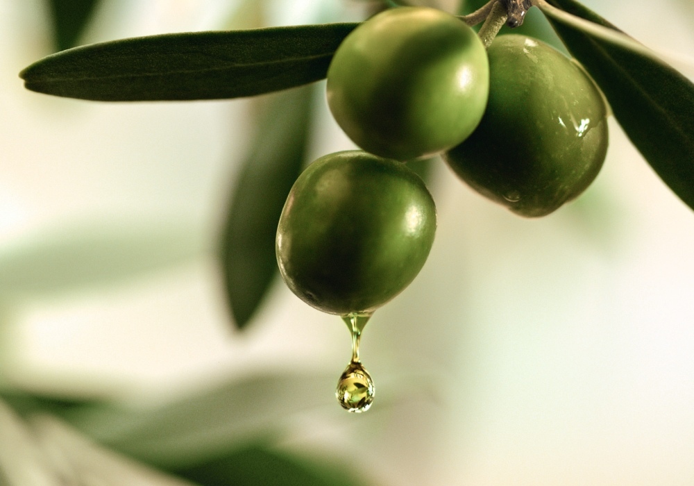 Ingrédients Huile D'Olive Bio AOP