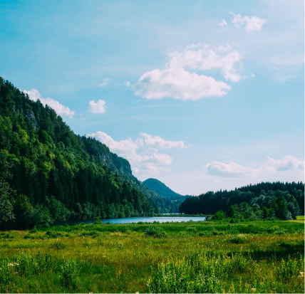 Reduction in Greenhouse Gas