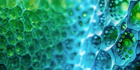 Abstract green-blue cellular network texture