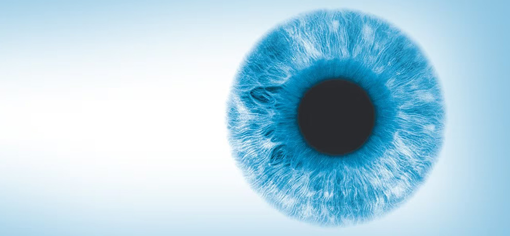 close up on a blue eye