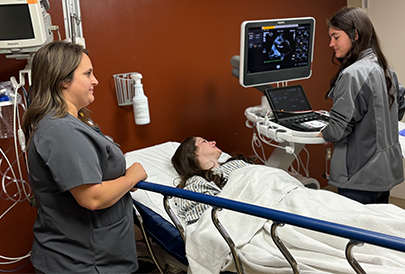Two nurses monitor heart with ultrasound with patient looks at screen