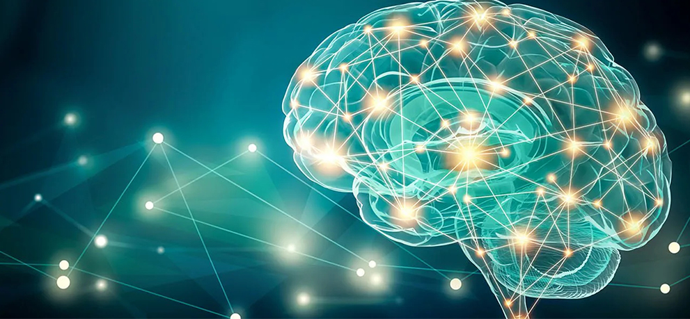 art of brain with neurons