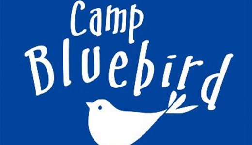 camp blue bird graphic