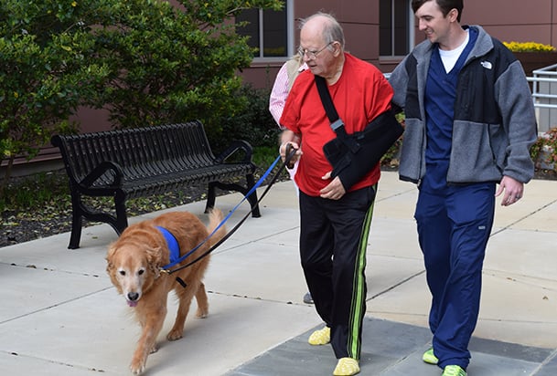 Older man with his arm in a sling walking with a therapy dog, accompanied by a man in scrubs