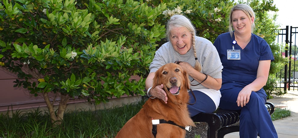 Older woman hugging a golden retriever therapy dog on a bench with a nurse in scrubs