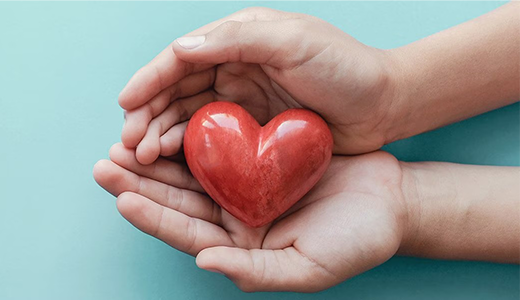 hands holding heart