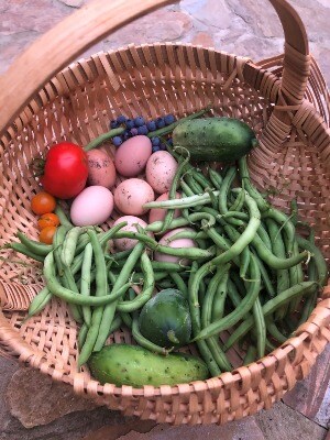 basket of fresh vegetables