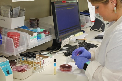 Med tech working with samples in the lab