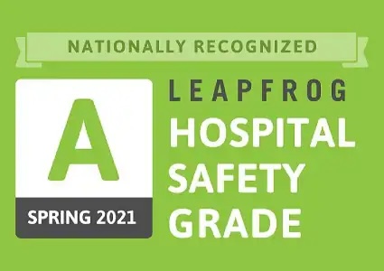 Leapfrog logo