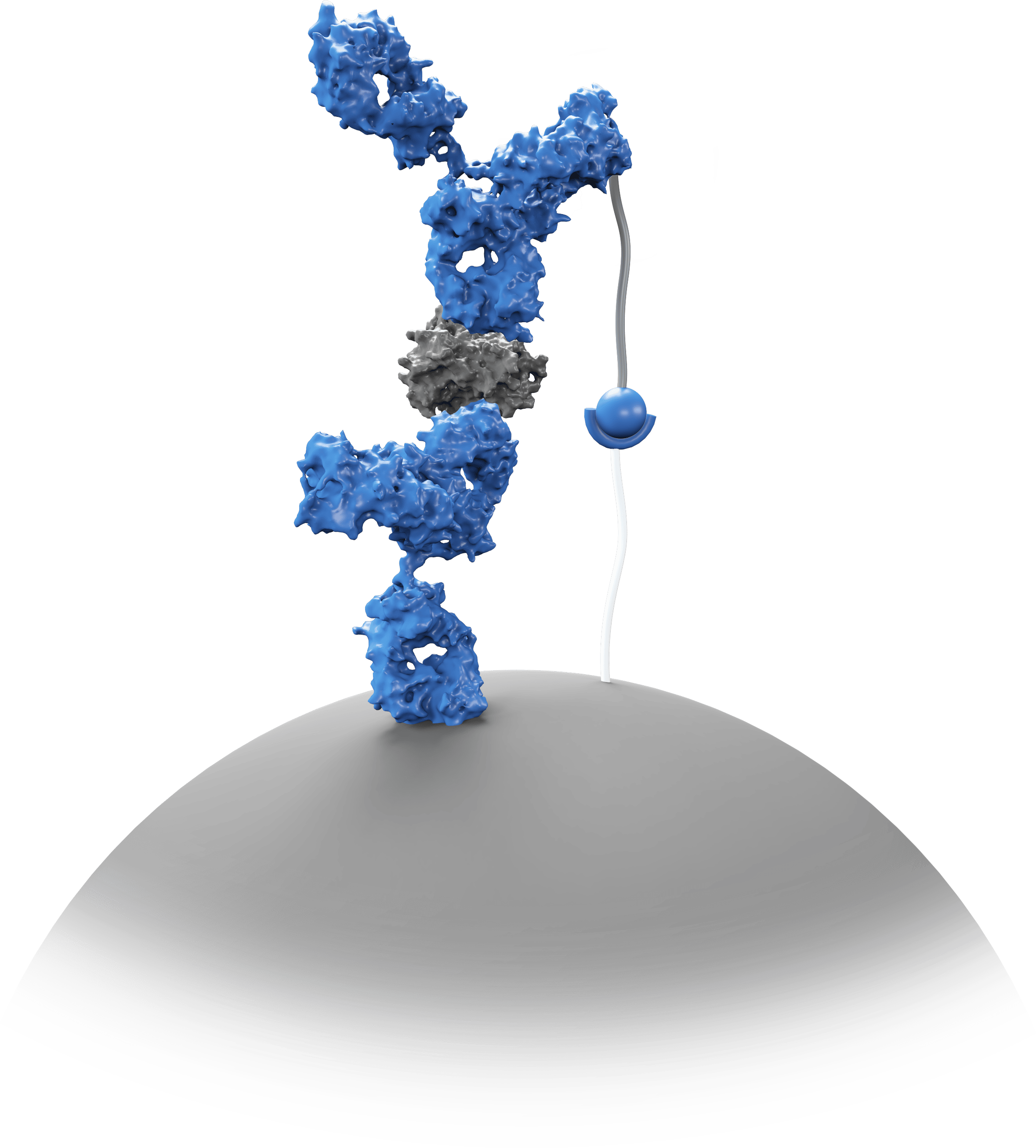 ImmunoLock