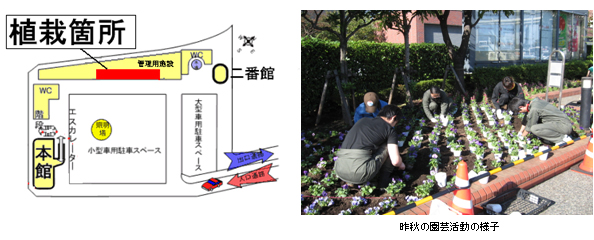 園芸活動
