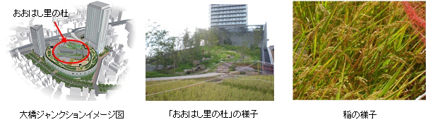 おおはし里の杜