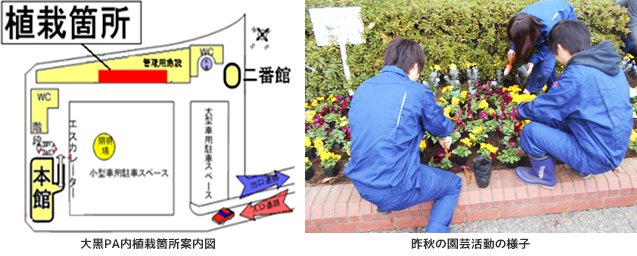 園芸活動