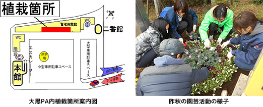 園芸活動