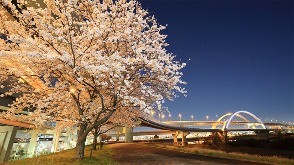 五色桜大橋