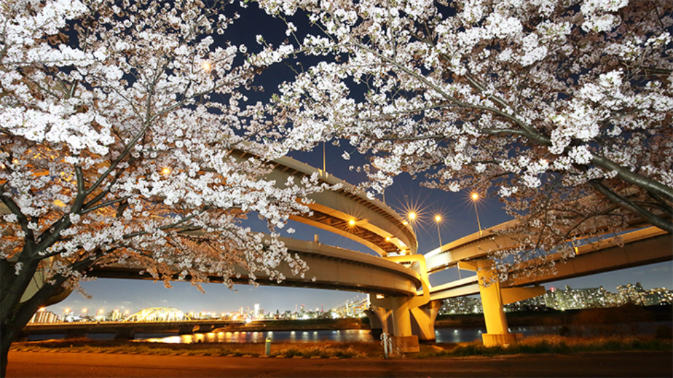 五色桜大橋