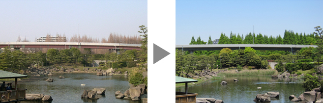 橋桁の色彩は、隣接する品川区民公園と調和する「濃いグリーン」にしました。