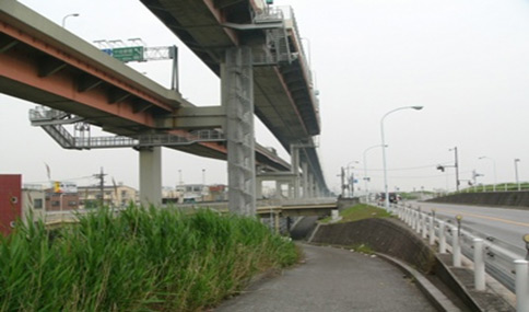 現地写真