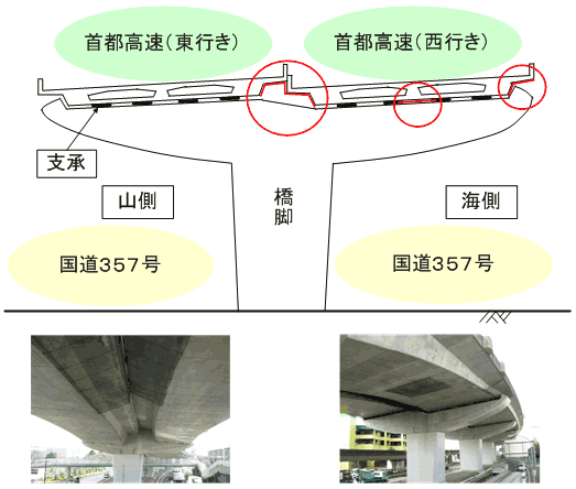 落下防止ネット設置状況