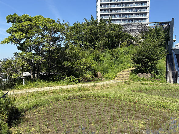 おおはし里の杜