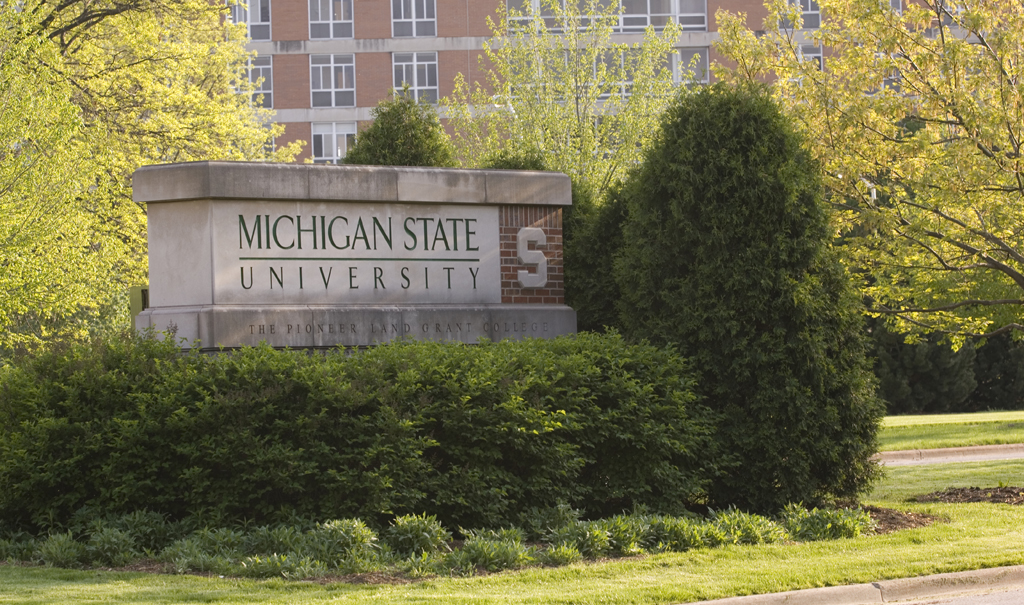 2018 Community Engagement Scholarship Award | MSUToday | Michigan State ...