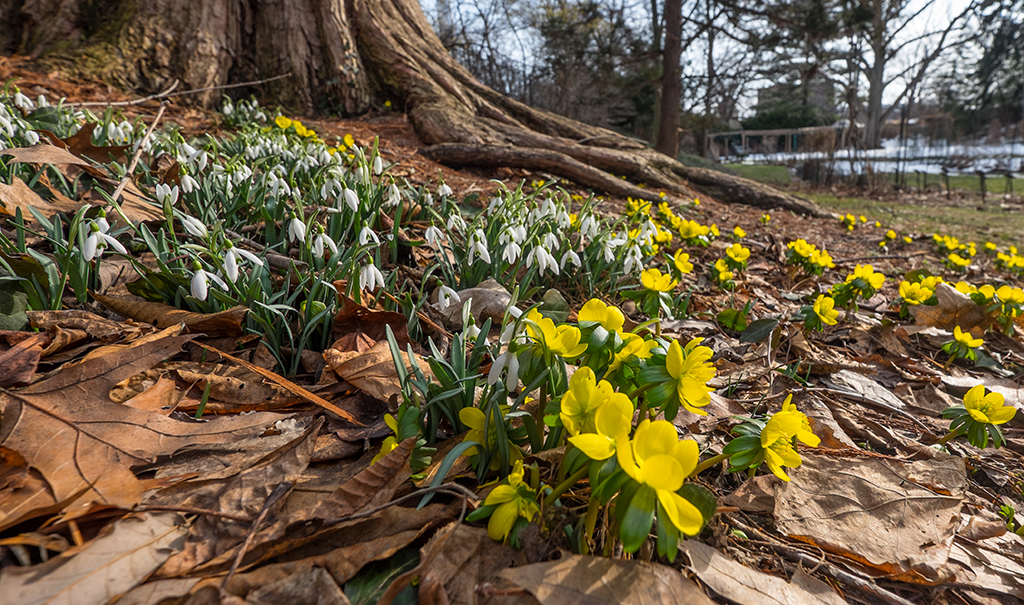 54th annual MSU Spring Arts and Crafts Show | MSUToday | Michigan State ...