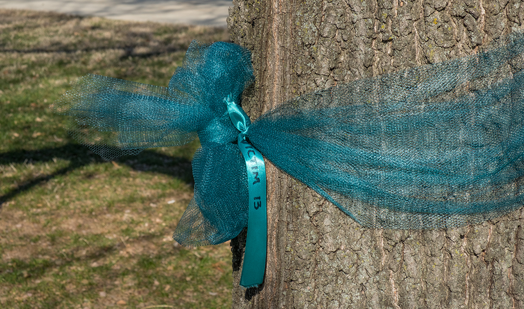 Survivors and parents join MSU Museum to preserve teal ribbons ...