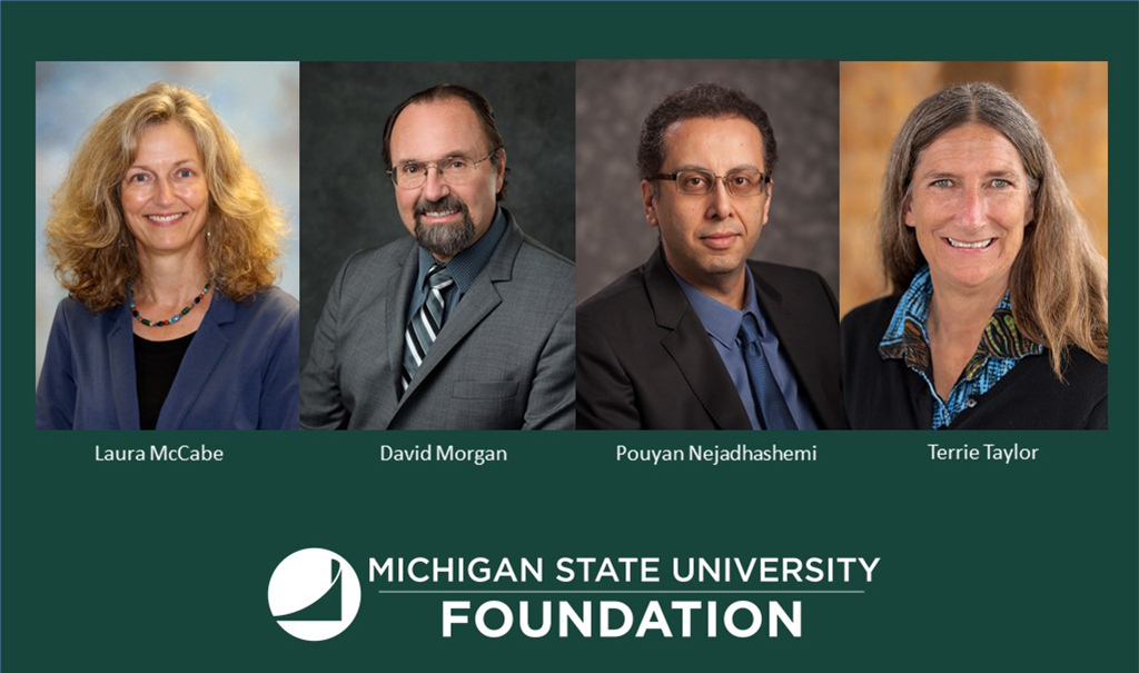 New MSU Foundation professors announced | MSUToday | Michigan State ...