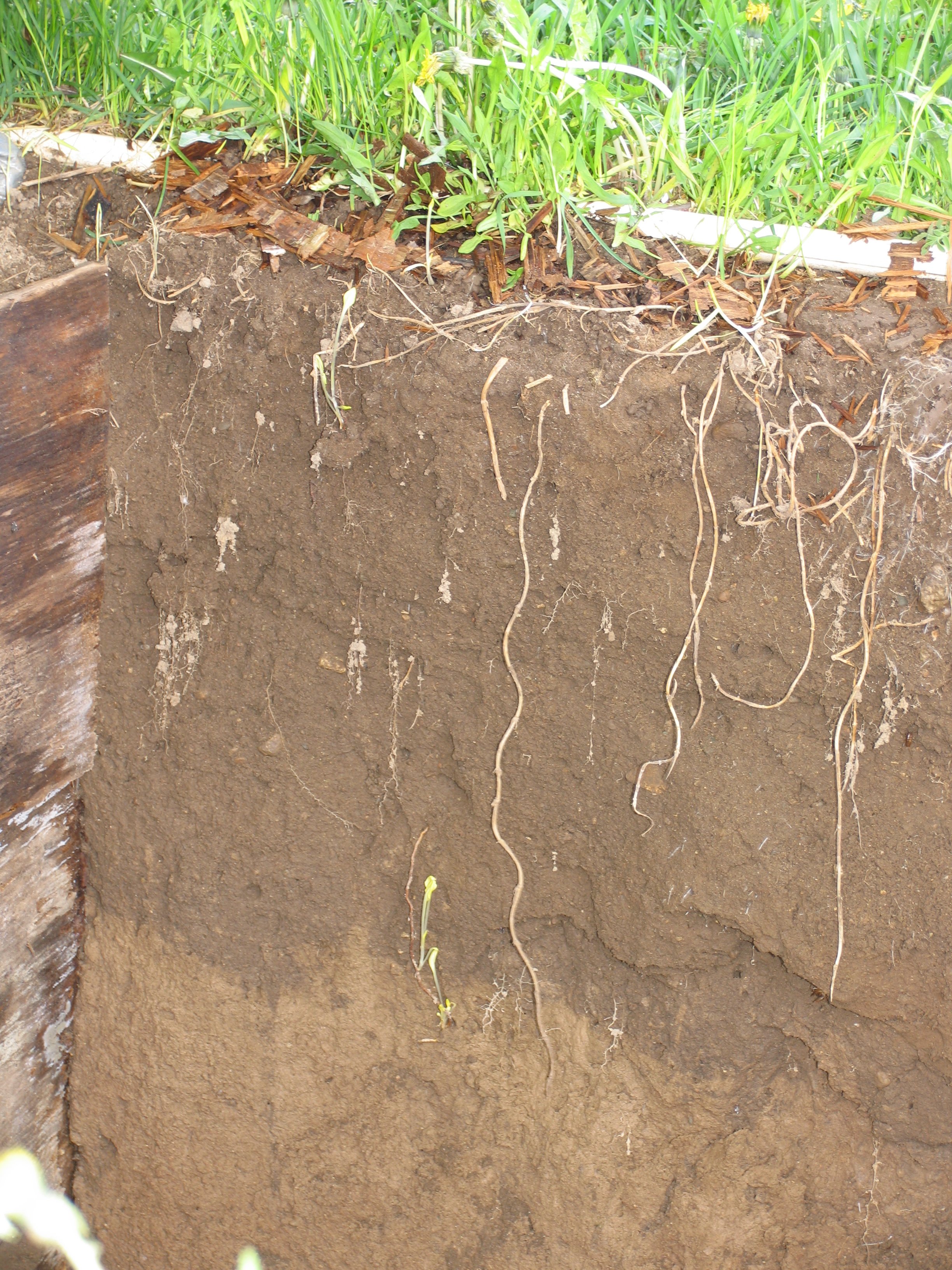 soil-profile-2