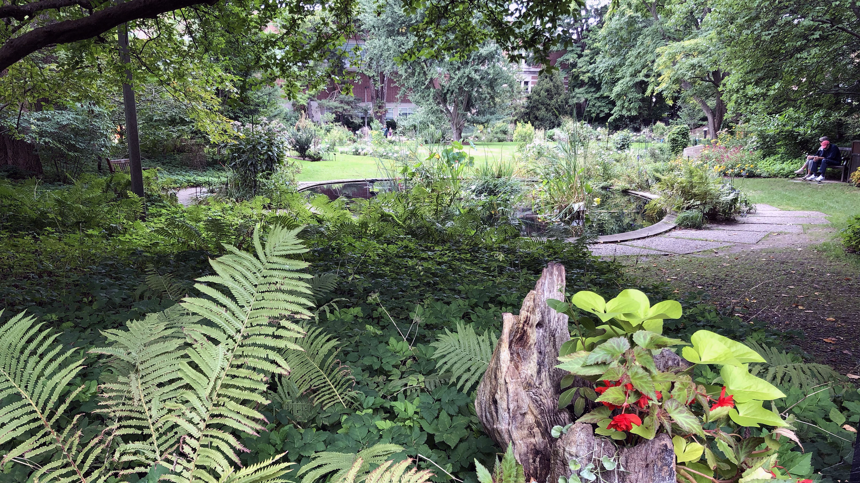 Beal Garden pond