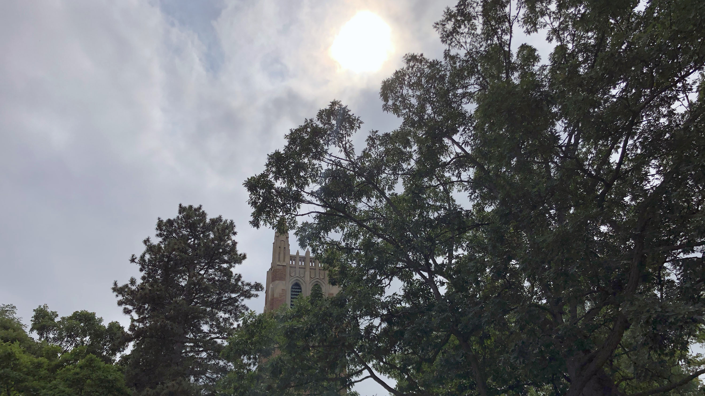 Beaumont Tower in the sunlight