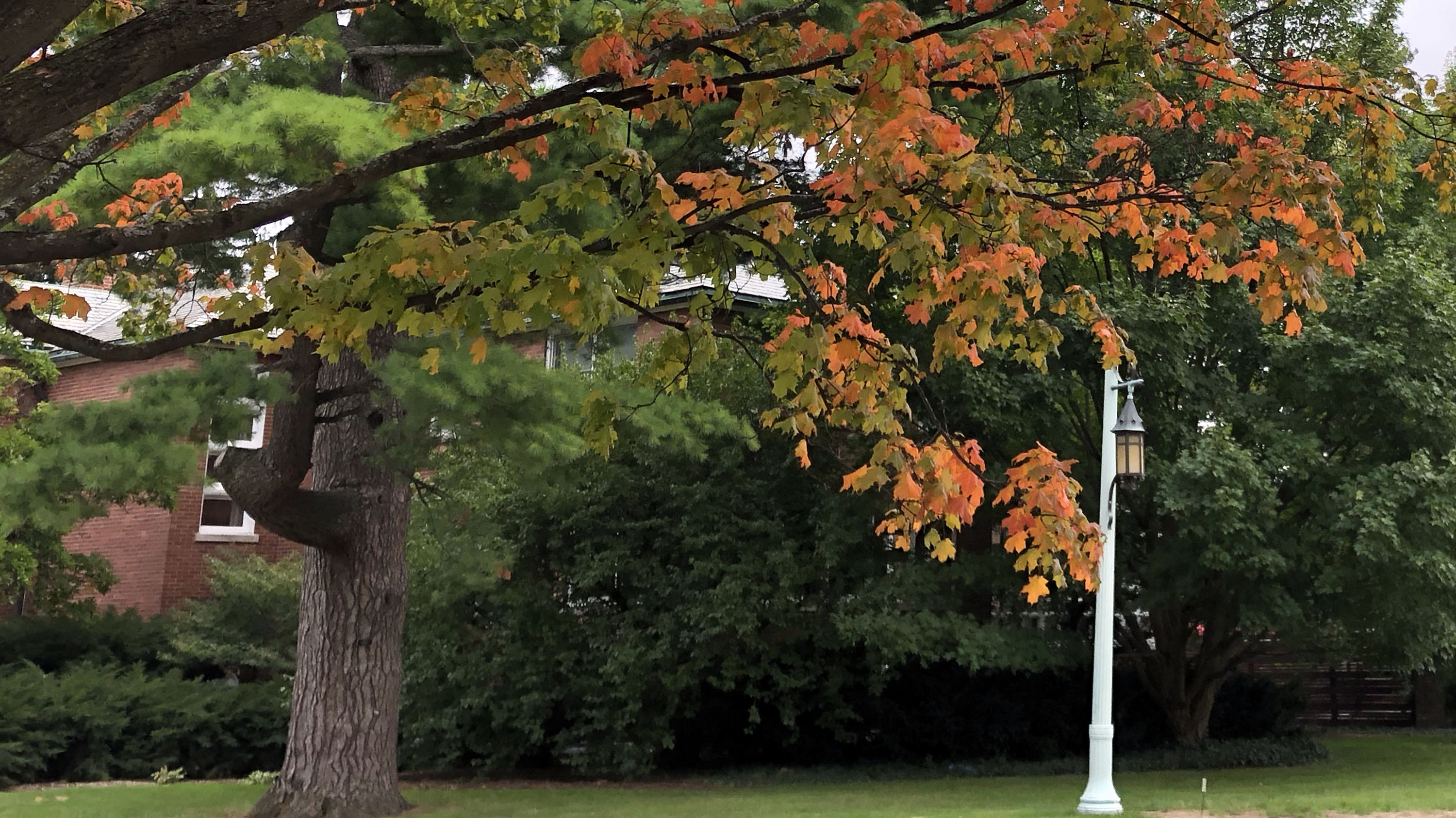 Fall leaves and campus lantern