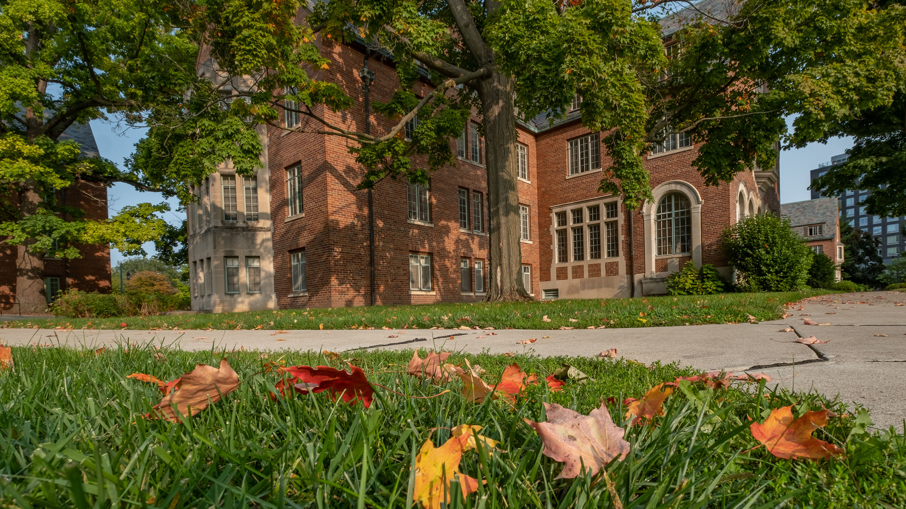 Campbell Hall in the fall