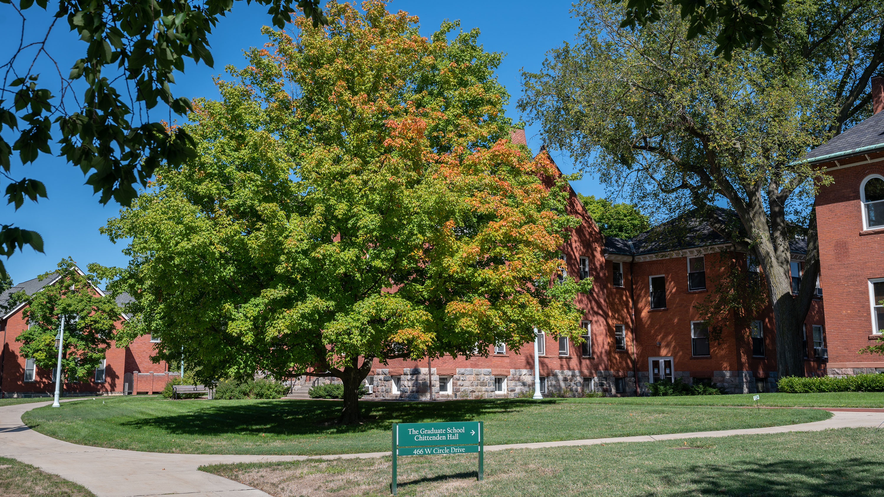 Fall tree on West Circle Drive
