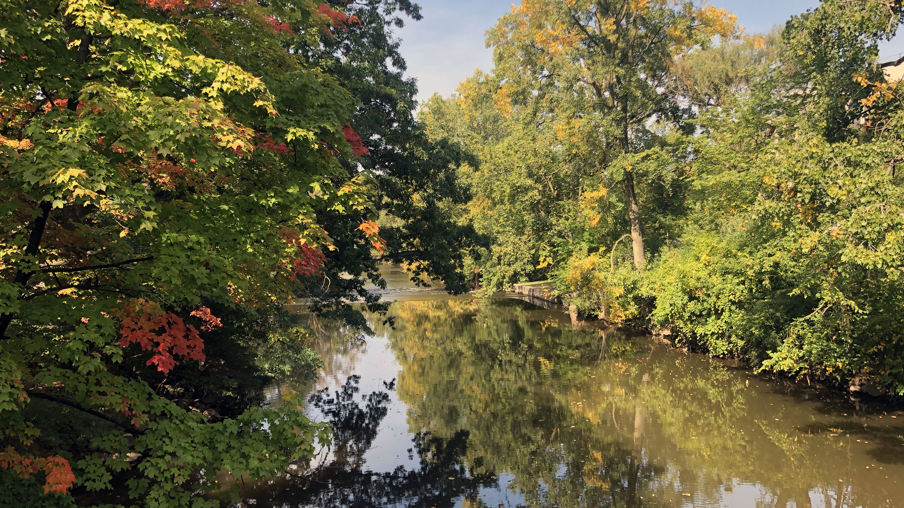 View of the Red Cedar river