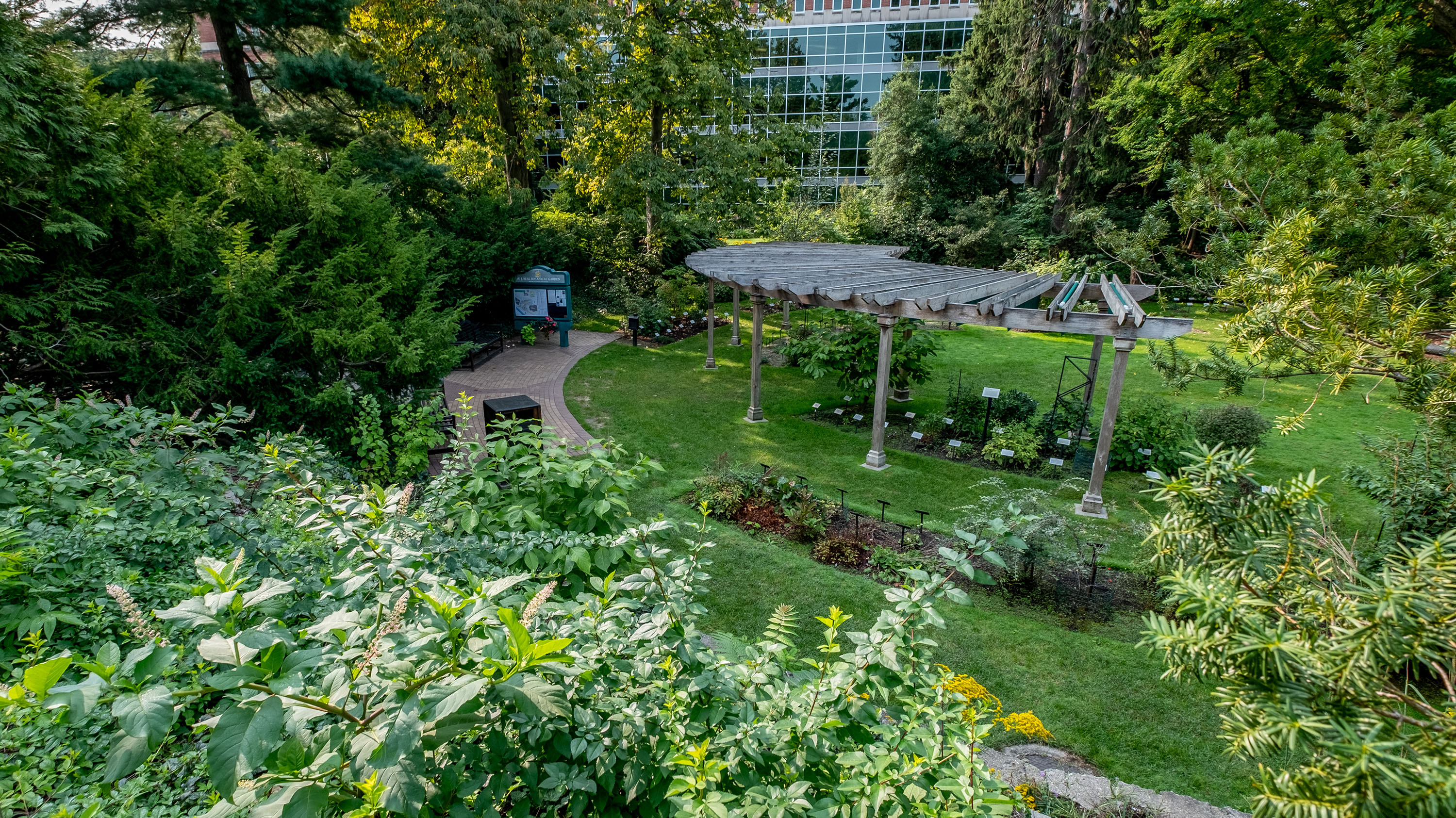 Beal botanical garden
