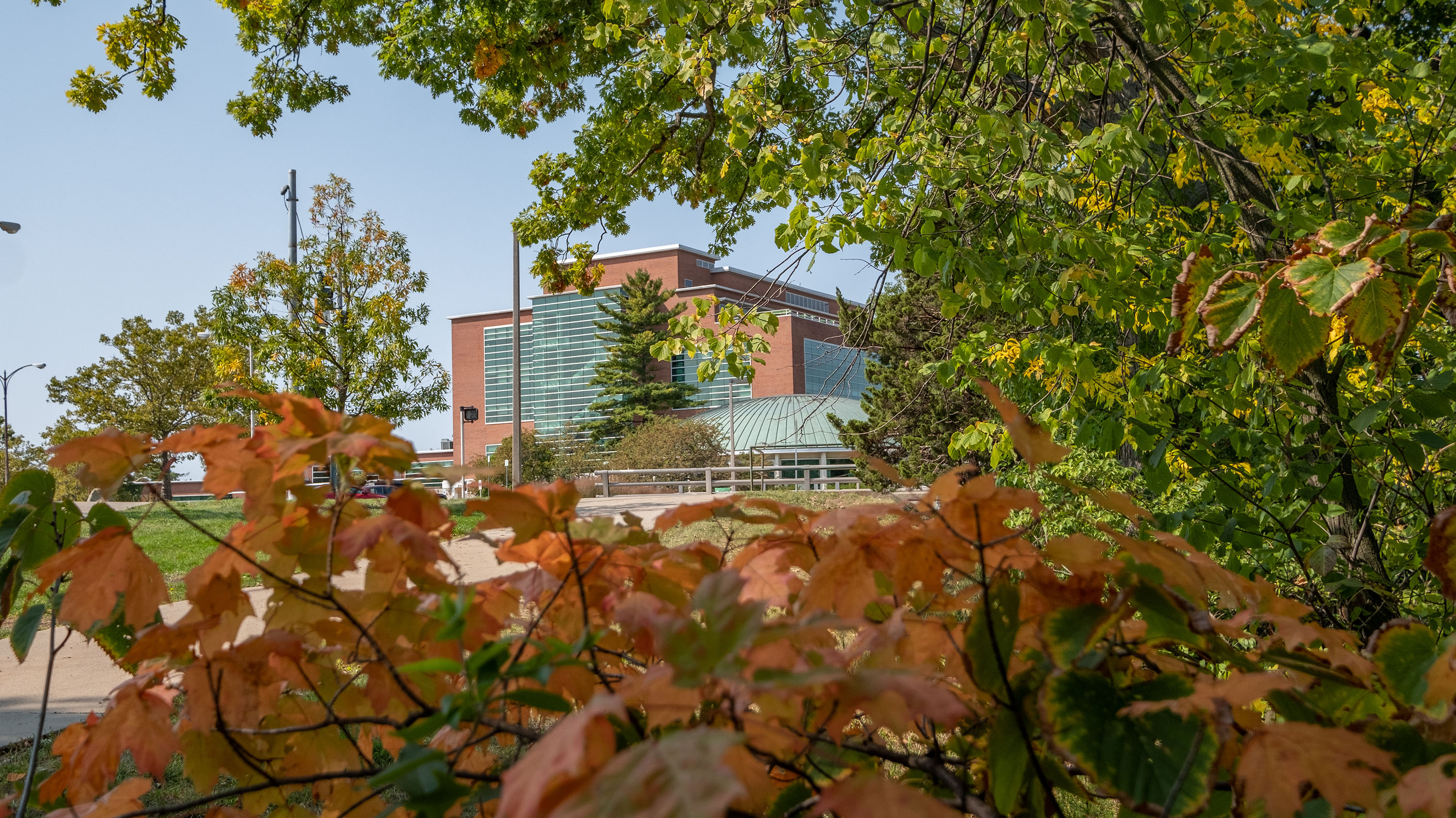 Fall foliage with Erickson hall in the background
