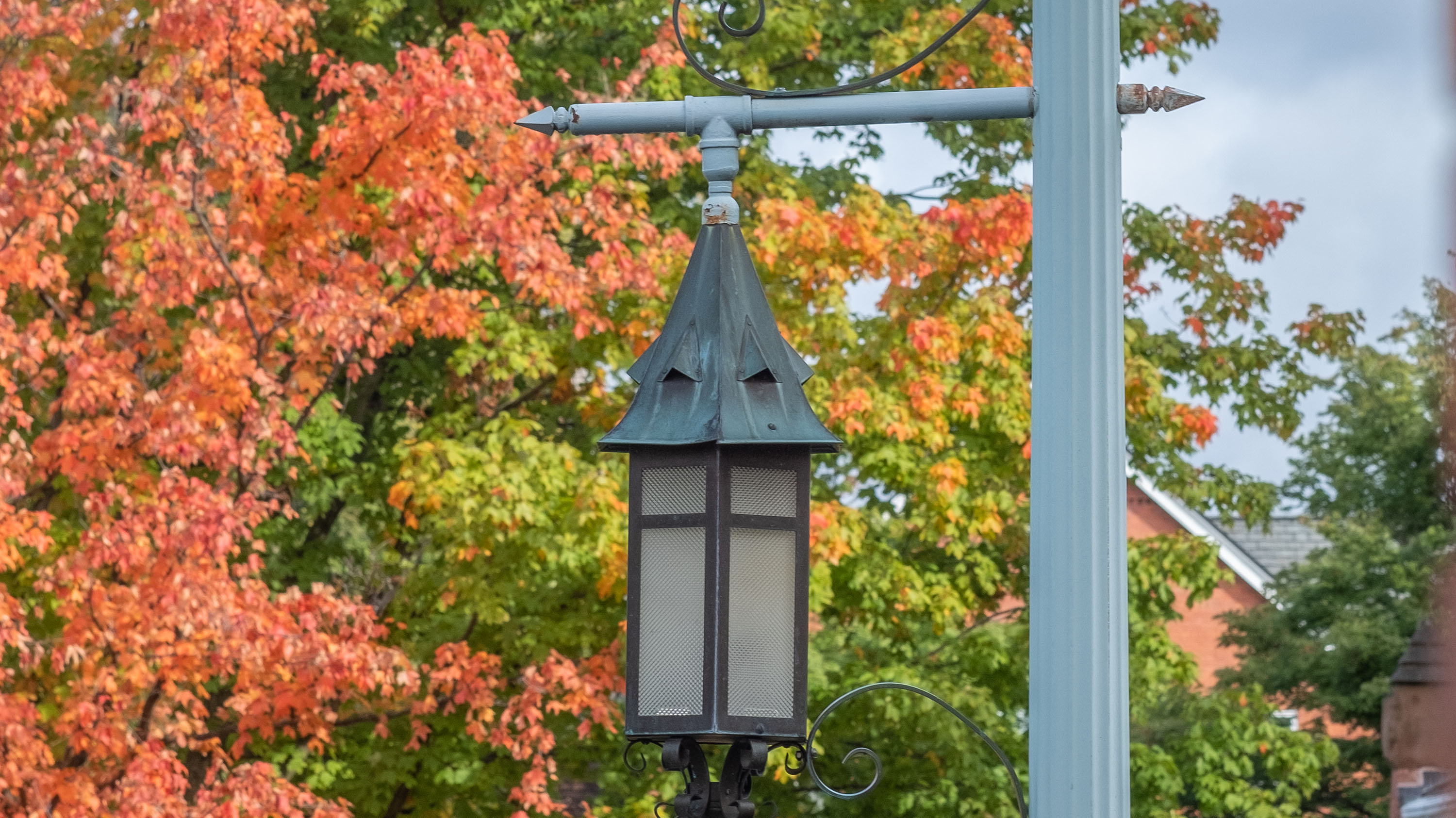 fall leaves and lantern