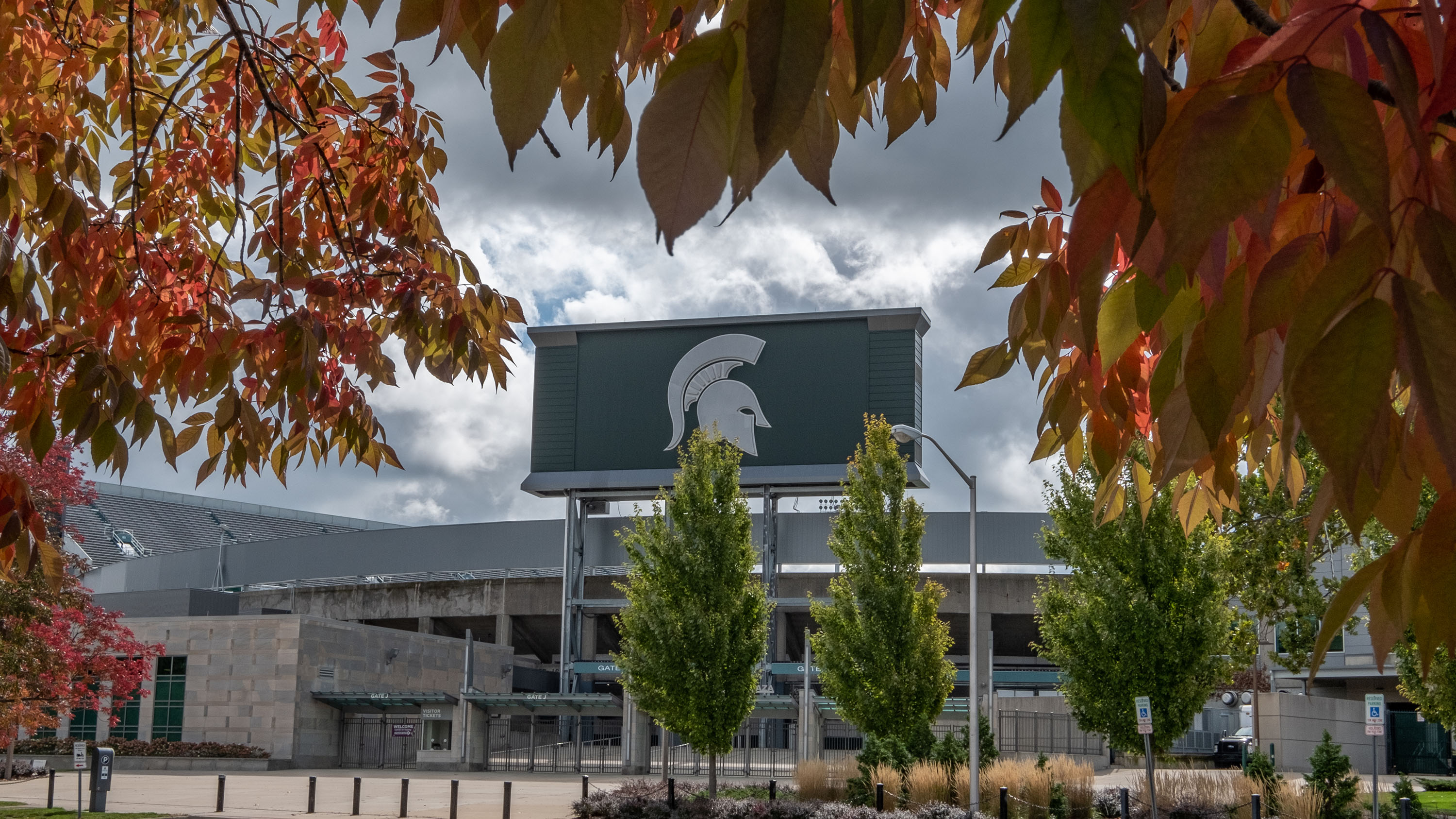 fall leaves and Spartan Stadium