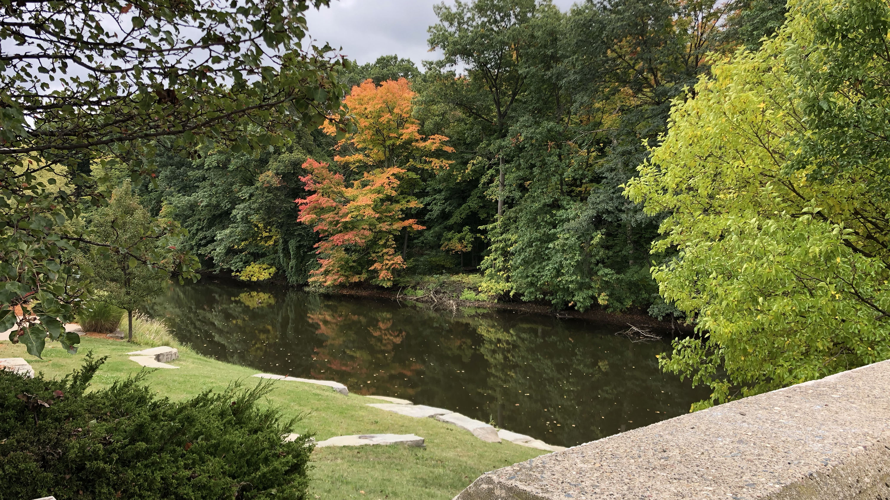 Red Cedar River